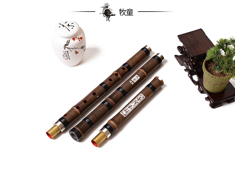 Chinesische Bambusflöte Xiao V – Musical Instrument Xiao Bewertung und Preis