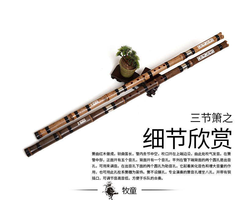 Chinesische Bambusflöte Xiao V – Musical Instrument Xiao Bewertung und Preis