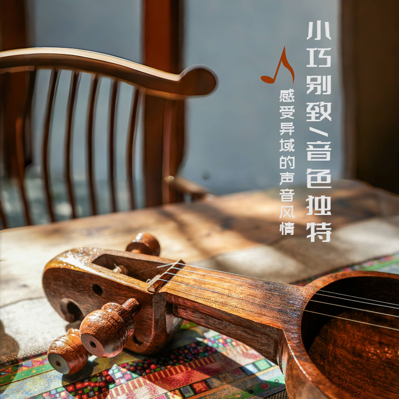 Nepalesische Salangi, alternat – Musical Instrument Groups Bewertung und Preis