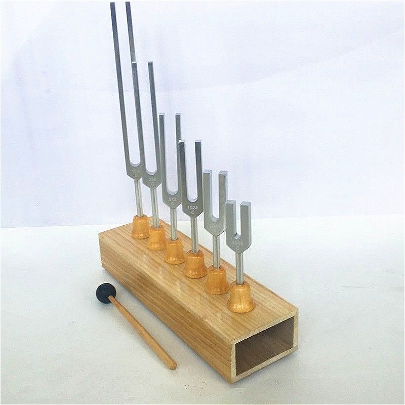 Stimmgabel-Set aus Aluminiumle – Musical Instrument Groups Bewertung und Preis