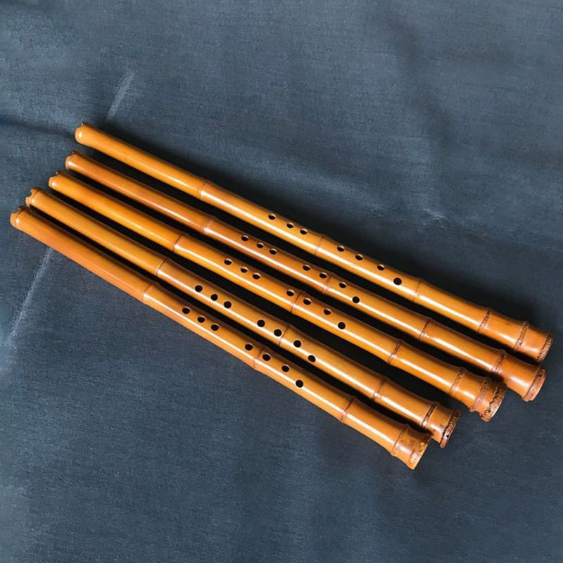 8-Loch-Bambus Xiao Performance – Musical Instrument Xiao Bewertung und Preis