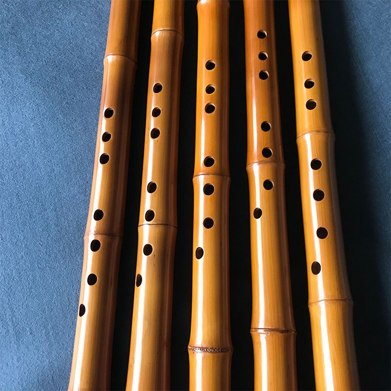 8-Loch-Bambus Xiao Performance – Musical Instrument Xiao Bewertung und Preis