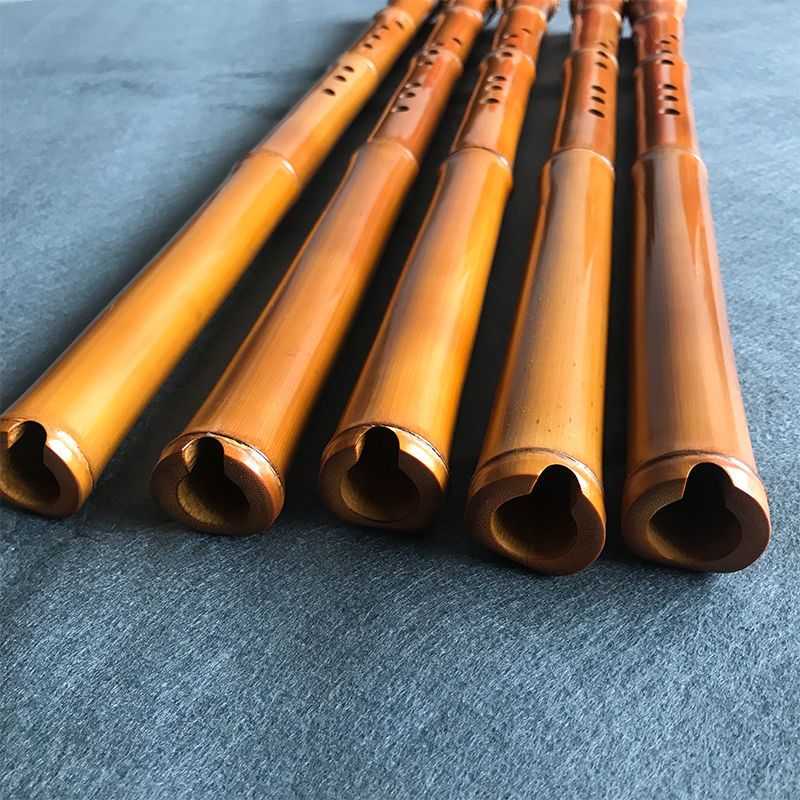 8-Loch-Bambus Xiao Performance – Musical Instrument Xiao Bewertung und Preis