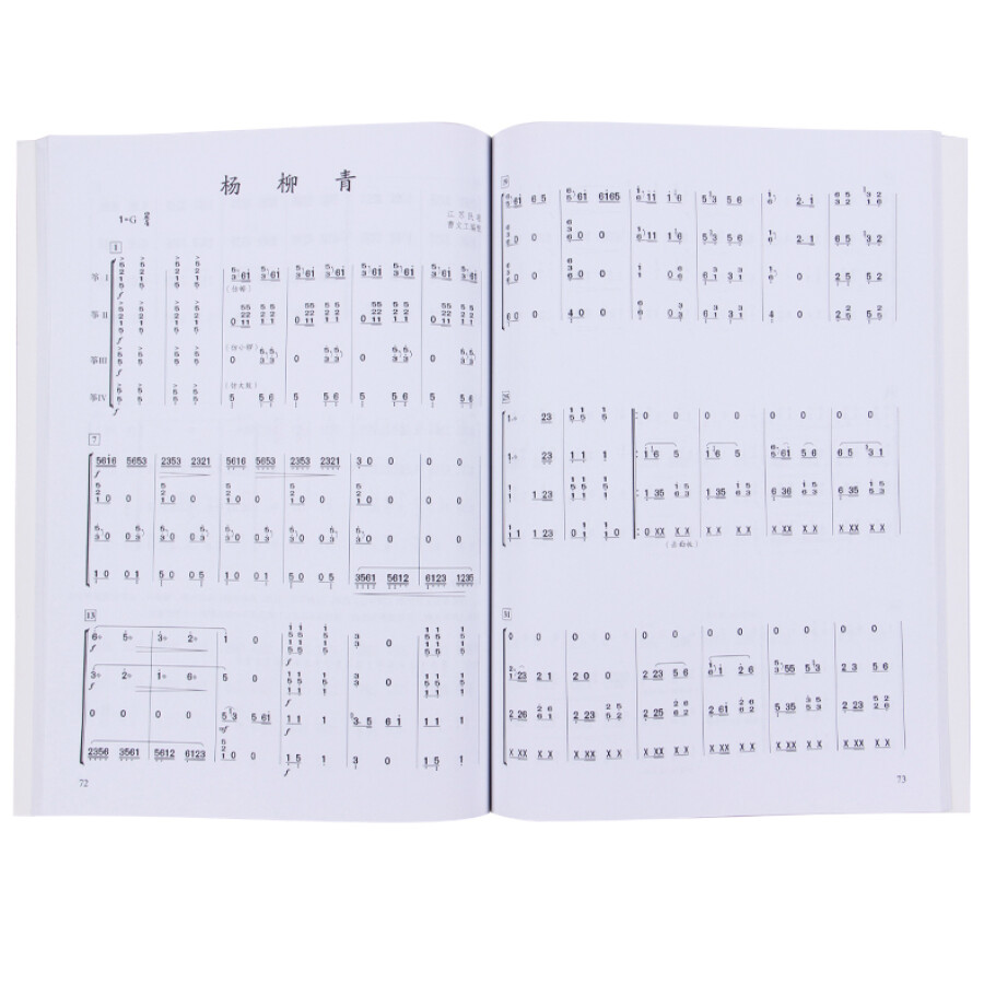 Chinesisches Guzheng Ensemble- – Musical Instrument Groups Bewertung und Preis